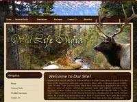 wildlifeindia